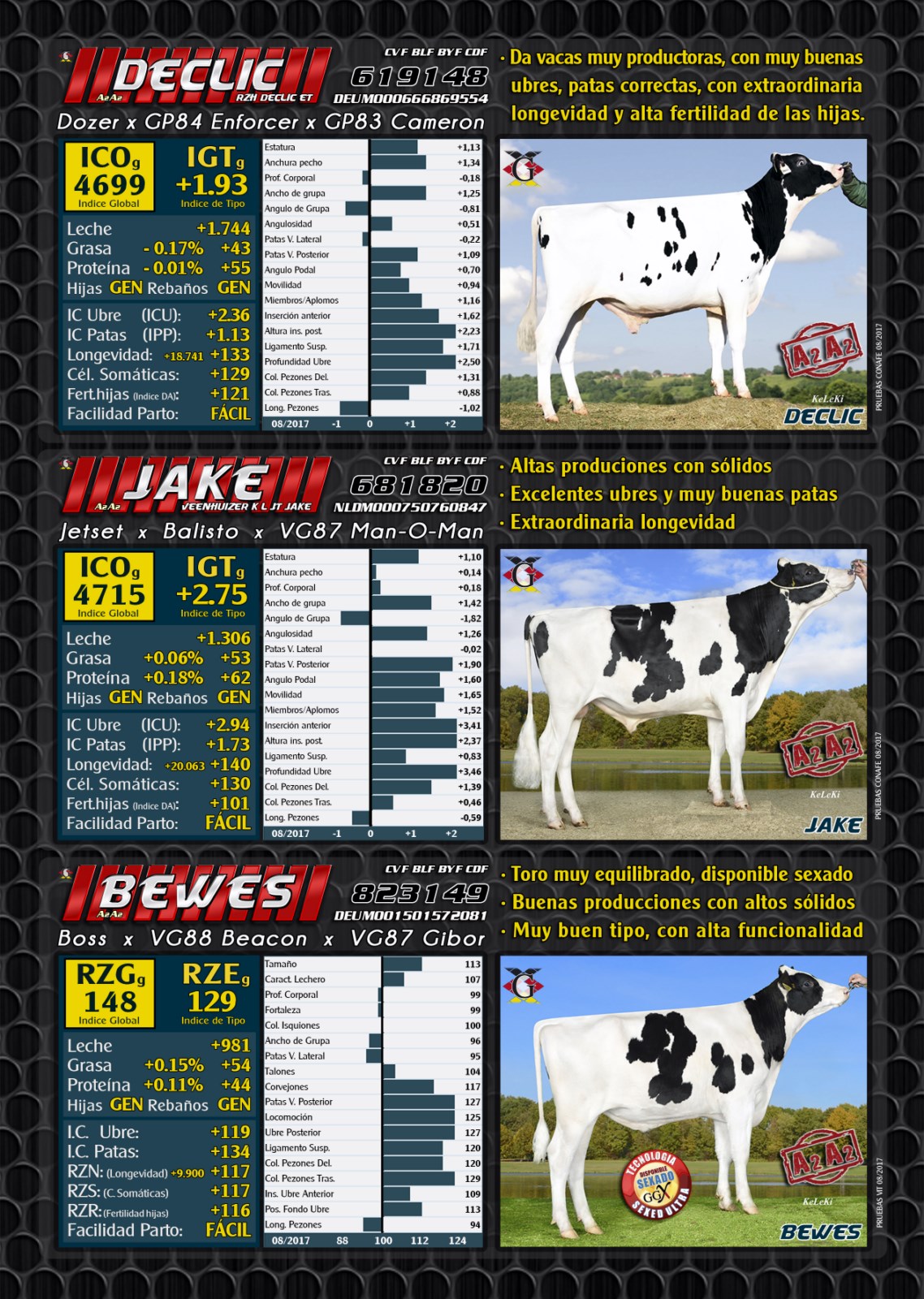 BAS SL · Genética alemana | Semen alemán| Ofertas especiales Toros ...
